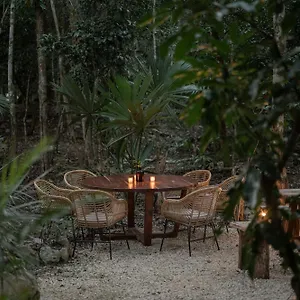 secluded-and-serene-jungle-villa-w-private-cenote.tulum-hotels.net/